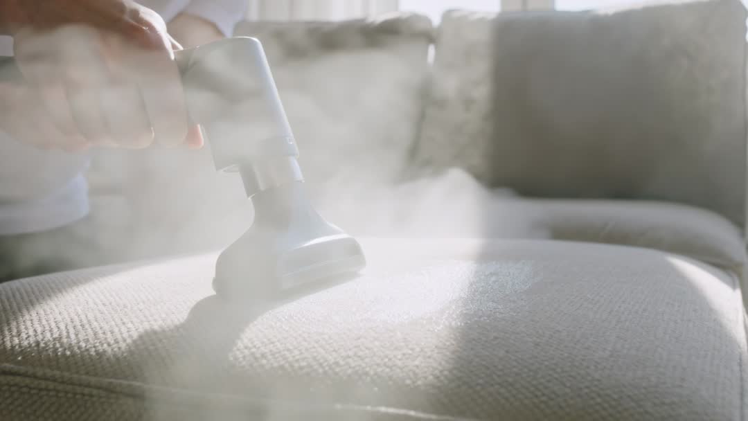 Professional upholstery cleaning with steam extraction on sofa cushion